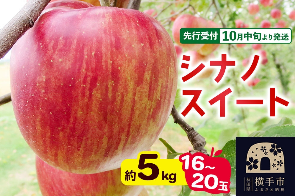 
                  【先行受付】10月中旬より発送 シナノスイート約5kg（16～20玉）りんご 秋田県横手市 [先行予約 秋田県 横手市 林檎 リンゴ 果物 フルーツ]
                