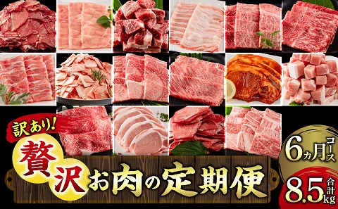 【訳あり】<定期便>宮崎県産黒毛和牛・宮崎県産豚肉 贅沢6か月コース |牛肉 牛 うし 豚肉 豚 ぶた 肉 国産 豚ローストンカツ 豚ロースしゃぶしゃぶ 豚肩ロースしゃぶしゃぶ 豚バラしゃぶしゃぶ 豚