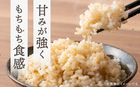 弥山岳の岩清水で育ったノガミファームのお米 玄米5kg 桂川町/NOGAMI FARM[ADAU009]