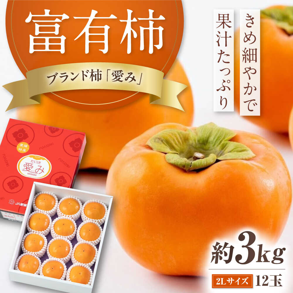 【先行予約】【ふるさと納税】富有柿 2L玉サイズ 約3kg（12玉入り）／フルーツ 果物 くだもの 食品 人気 内子町 柿 カキ かき 富有柿 ふゆうがき 甘い 旬 おすすめ 送料無料 国産 愛媛 【愛媛たいき農業協同組合 果樹生産出荷協議会 柿部会】[BKAL002]