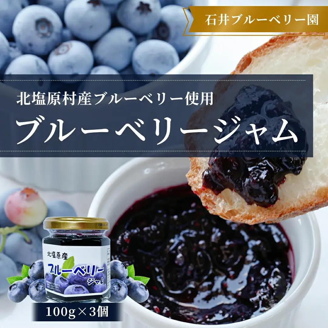 ブルーベリージャム100g×3個セット(石井ブルーベリー園) KBI001