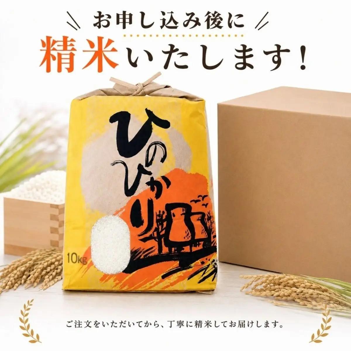 ひのひかり 白米 新米 10kg 2026年産［1121-3］
