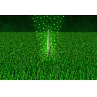 ふるさと納税 綾部市 ＼京都・綾部の癒やし系作家/【絵画】　夜明けの不思議　額装サイズ526mmx412mm |  | 01