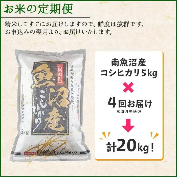 【令和7年産】【定期便】新潟県 南魚沼産 コシヒカリ お米 5kg ×計4回 精米済み 毎月発送（お米の美味しい炊き方ガイド付き）
