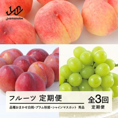 ふるさと納税 山辺町 【発送月固定定期便】フルーツ定期便 品種おまかせ白桃 プラム秋姫 シャインマスカット全3回