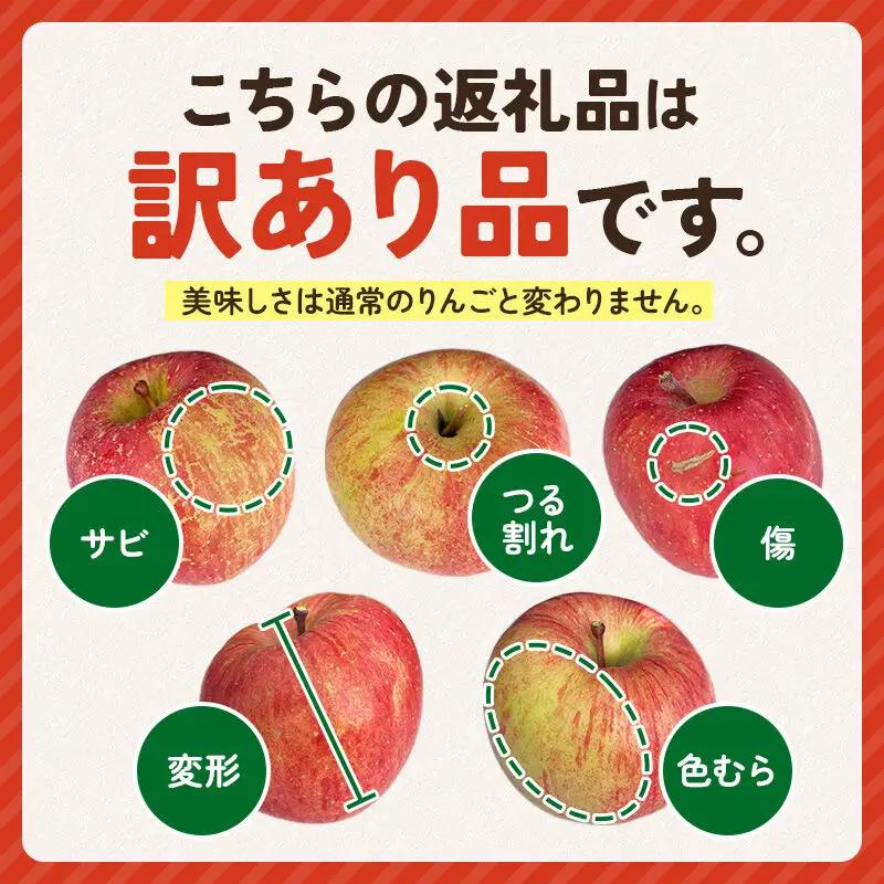 【先行受付】12月上旬より発送【色ムラ・キズ等あり】樹上完熟サンフジ 約5kg（13～23玉前後）