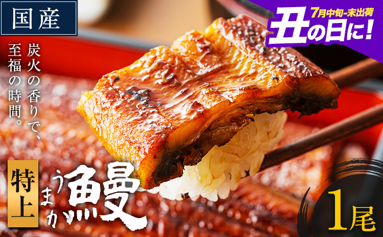 
                  うなぎ 特上サイズ 1尾 国産 ランキング 獲得 鰻 真空パック おすすめ うなぎの蒲焼 《丑の日に！7月中旬-7月下旬出荷》 有頭 ふるさとのうぜい 鶏炭火焼 特上 簡易包装 ウナギ unagi 蒲焼 秋 冬 旬 配送時期 冷凍
                