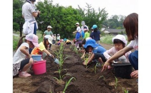 
R-15　農作業半日体験
