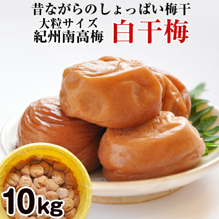 【ふるさと納税】紀州南高梅 特選A級 白干梅(梅干し)10kg樽［無添加］食品添加物 不使用 和歌山県産