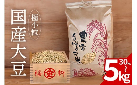 
            大豆 5kg 10kg 30㎏ 10000円から 極小粒 岡田ファーム だいず ダイズ 国産 小粒 料理 煮豆 豆乳 納豆 用途多彩 健康食品 高たんぱく 保存食 産地直送 (daizu-sku-001)
          
