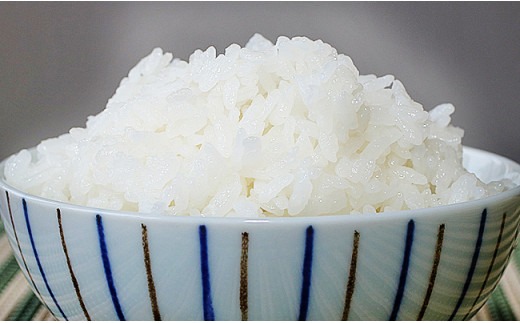 6C05-Z【12ヶ月連続お届け】北魚沼産コシヒカリ（長岡川口地域）無洗米5kg