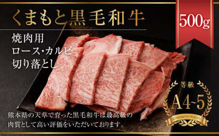 くまもと黒毛和牛 焼肉用 ロース・カルビ 切り落とし 500g A4~A5クラス 牛肉