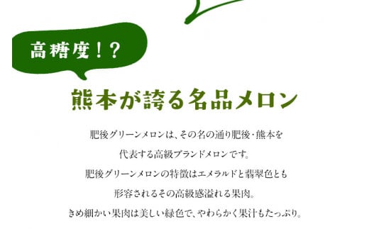 【先行予約】「ミヤザキファーム」 肥後グリーンメロン2玉《6月中旬-6月末頃出荷》 糖度14度以上(14度-17度) 熊本県氷川町産---sh_miyameron_j6_23_15000_2t---