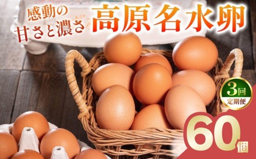 【定期便2回】高原名水 卵 60個｜豊かな自然で育ったアスタキサンチン含有の高原名水卵【感動の甘さと濃さ】栃木県 矢板市