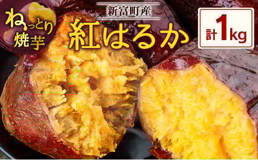 特製焼き芋！熟成蜜芋「紅はるか」計1kg 国産 新富町産［12月～5月出荷］さつまいも ねっとり焼芋 イモ【A309-1205】
