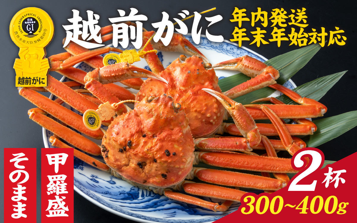 
            【先行予約】選べる！美味しさ直送【成前特選】越前かに（300～400g）×2杯【年内発送・年末年始対応】【E-028032】/ 正月【年内発送 年内お届け】
          