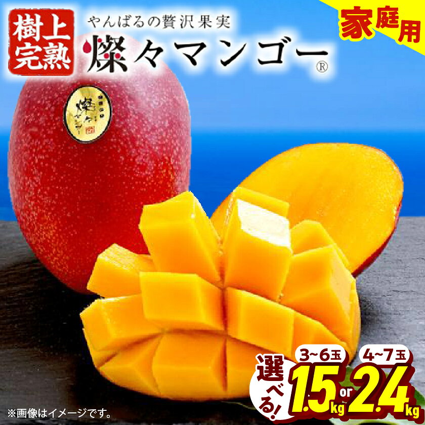 【ふるさと納税】【2027年発送】燦々マンゴー 1.5kg(3～6玉) ・2.4kg(4～7玉)_ マンゴー アップルマンゴー アーウィンマンゴー 訳あり 沖縄 家庭用 自宅用 規格外 果物 くだもの 完熟 南国 フルーツ デザート 甘い 期間限定 数量限定 沖縄県産 農家直送 産直【G1619685】