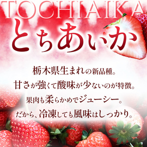 【栃木県共通返礼品】【先行予約】赤い宝石「とちあいか」300g×4P×2箱| 先行予約 選べる いちご 苺 とちあいか 栃木県 那珂川町 送料無料 デザート ご褒美 美味しい 甘い フルーツ ジューシ