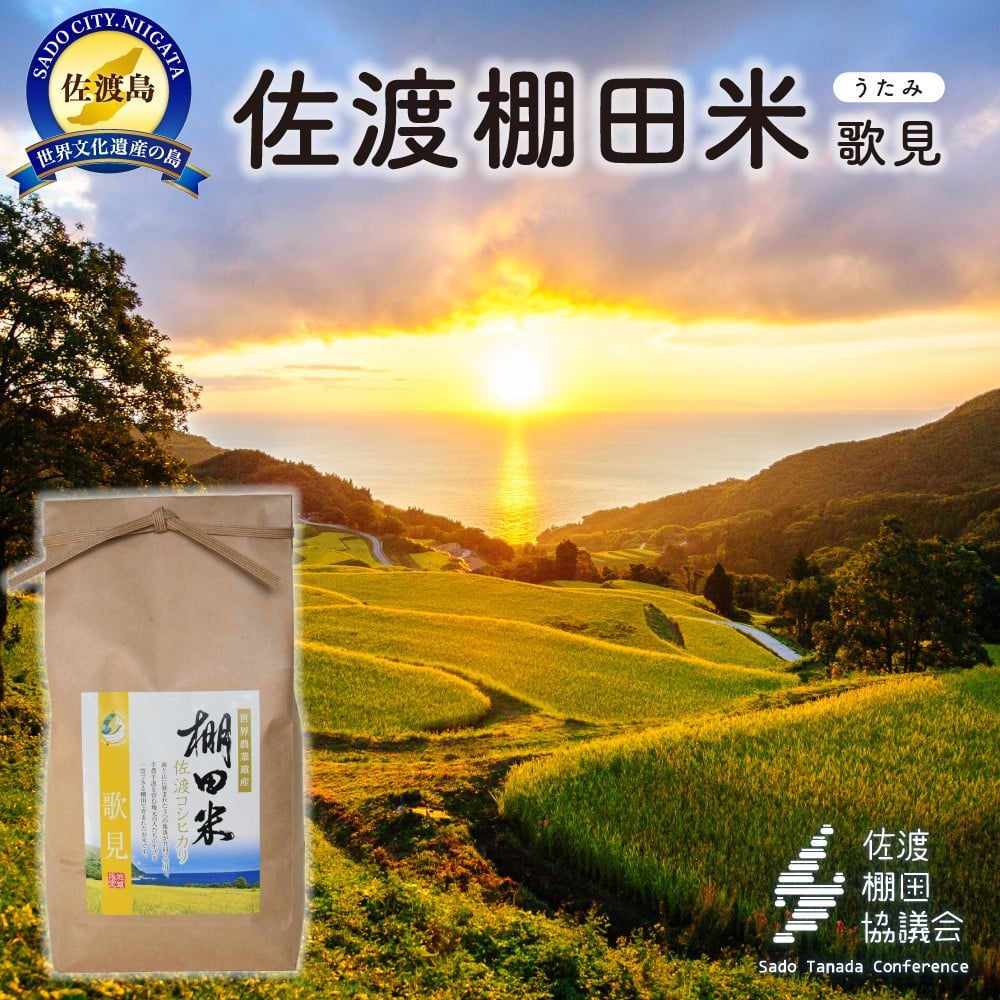 
            佐渡島産コシヒカリ 歌見棚田米 白米4Kg（2Kg×2袋）【令和7年産】
          
