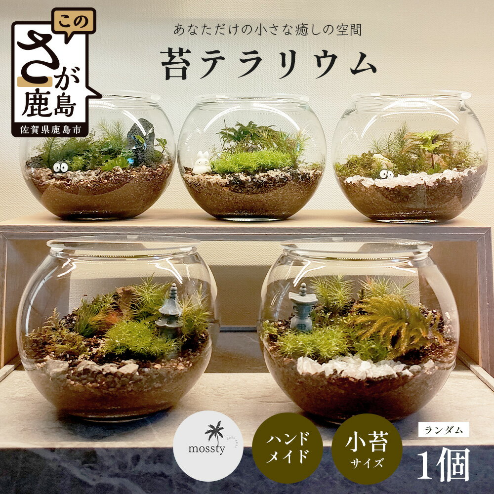 【ふるさと納税】 癒やしのインテリア 苔テラリウム 手のひらサイズの小さな森 mossty 佐賀県 鹿島市 送料無料 観葉植物 初心者 手入れ簡単 卓上 ガラス 職人手作り 1点物 プレゼント ギフト 贈り物 誕生日 敬老の日 苔テラ 雑貨 B-892