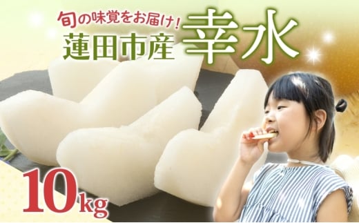 蓮田市産 日本梨 幸水 10kg フルーツ 果物 ナシ なし 甘い みずみずしい シャリシャリ 食感 果汁 くだもの デザート おやつ お取り寄せ 産地直送 ギフト 贈答用 家庭用 埼玉県 蓮田市