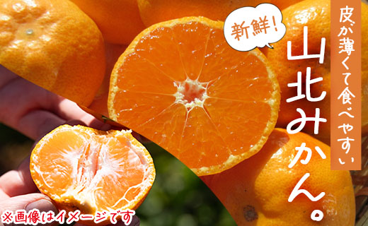 山北みかん 約3kg（露地・Ｓ～Ｍサイズ）- 果物 フルーツ 温州みかん ミカン 蜜柑 柑橘 甘い 送料無料 ギフト のし 贈り物 プレゼント 数量限定 期間限定 高橋農園 高知県 香南市 th-00