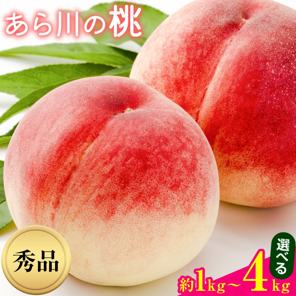 【ふるさと納税】【先行予約】和歌山県紀の川市産あら川の桃 選べる 約1kg 1.5kg 2kg 4kg 秀品 前商店《2026年6月末-7月中旬頃出荷》 和歌山県 紀の川市 産地直送 もも モモ 果物 フルーツ