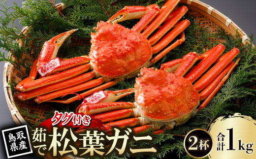 【先行予約】鳥取県産 タグ付き 茹 松葉がに 500g×2杯(中村商店)2026年1月末より順次発送【配送不可地域：離島・北海道・沖縄県・東北・信越、北陸】