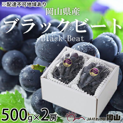 【ふるさと納税】ぶどう 2026年 先行予約 ブラックビート 約500g×2房 ぶどう ブドウ 葡萄 ブラックビート 種なしぶどう 岡山県産 岡山 産地直送 フルーツ 果物 大粒 黒ぶどう 甘い ジューシー 旬 数量限定 冷蔵配送 お届け：2026年8月中旬〜2026年9月上旬
