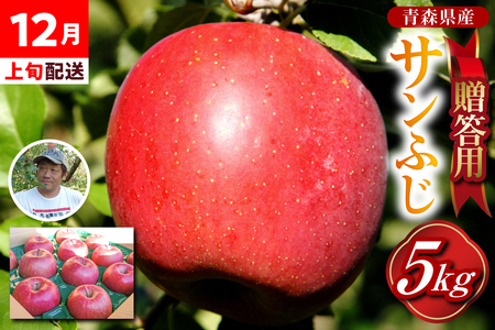 【2025年12月上旬】贈答用 りんご 約 5kg サンふじ 青森県産 五所川原 【金賞受賞歴有！】
