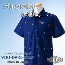 【ふるさと納税】再生ポリエステル使用 サステナブル・ゴルフウェア・ブランド VIRI DARI ( ヴィリダリ ) GOLF のウェア メンズ 半袖ポロ 刺繍 【ゴルフ ゴルフウェア GOLF VIRIDARI ヴィリダリ ブランド おしゃれ サステナブル 吸水 速乾 UV ケア 四日市 四日市市 三重県】