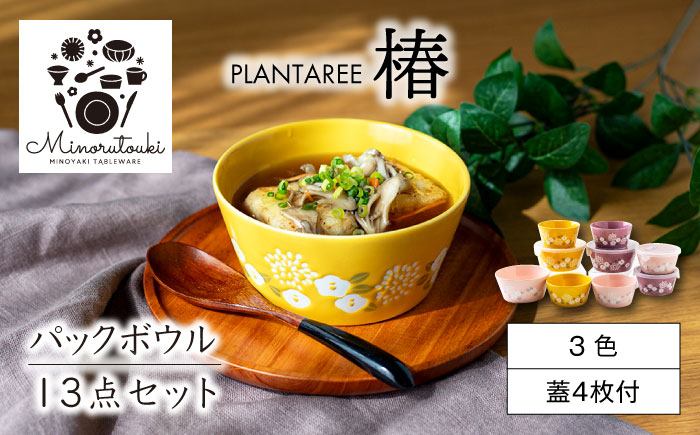 
【美濃焼】PLANTAREE-椿- パックボウル 13点セット 【みのる陶器】小鉢 鉢 ボウル [MBF085]
