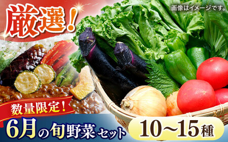 【数量限定】厳選！旬を味わう高槻野菜おまかせ詰め合わせセット 6月（10種～15種）　大阪府高槻市/高槻あぐり[AOCS012] [AOCS012]