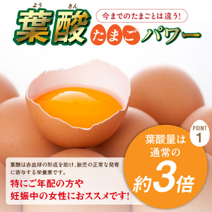 【3ヶ月定期便】【山ちゃん家の生みたて葉酸たまご】赤玉元気卵（40個入り）［132Y07-T］