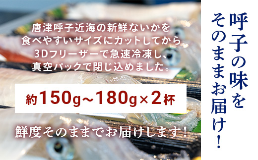 『先行予約』唐津呼子産いか活造り 2杯(約150g～180g×2) 急速冷凍 新鮮そのまま食卓へ！イカ 刺身 簡単 ギフト ※水揚げあり次第6月以降順次発送させていただきます。
