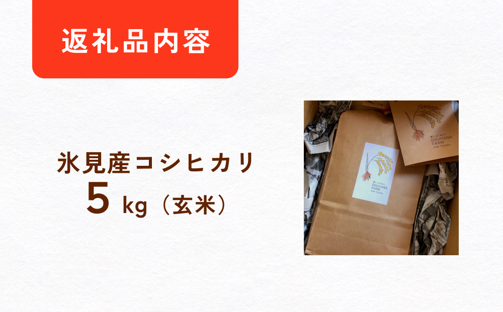 令和6年産 富山県氷見産 コシヒカリ 玄米 5kg 富山県 氷見市 