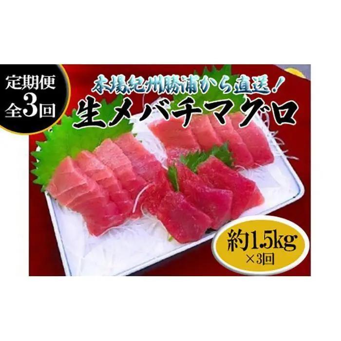 【定期便全3回】生まぐろ 約1.5kg まぐろ