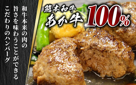 【全6回定期便】あか牛 100％ハンバーグ セット 120g×6個【有限会社 三協畜産】 国産 赤身 赤牛 褐牛 あかうし [ZEB066]