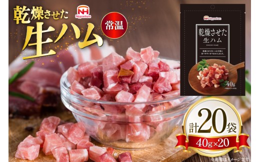 乾燥させた 生ハム 40g 20袋 [日本ハムマーケティング 青森県 おいらせ町 oi02ayo820022] ハム 常温 乾燥生ハム おつまみ 小袋 小分け 日本ハム 個包装 手軽 はむ 肉 お肉 晩酌 常備食 加工品 家飲み 常温保存 サラダ おかず トッピング