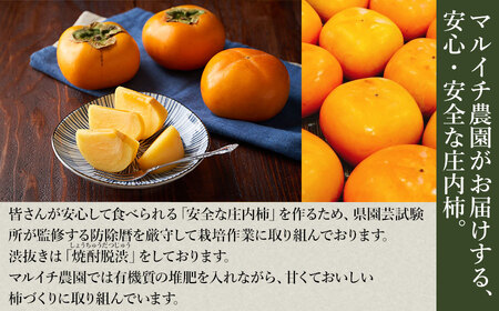 【令和7年産先行予約】庄内柿 Mサイズ以上 5kg　マルイチ農園