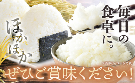 R7年産米 岡山県産 きぬむすめ 10kg 全農パールライス 