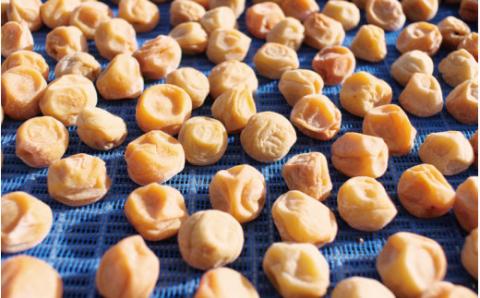 完熟南高梅 白梅干し 1.25kg 塩分約20％ 完全無添加 サイズ混合 ご家庭用【2025年9月より発送予定】【njb647-1】