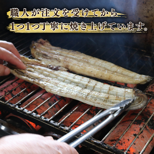 鰻 蒲焼 大姿焼き 2尾 140g×2 【全3回定期便】鰻
