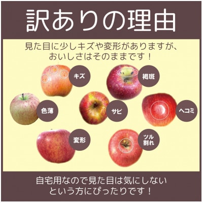 【25年11月より順次発送】平均糖度13度以上! サンふじ 約10kg 訳あり【配送不可地域：沖縄県】