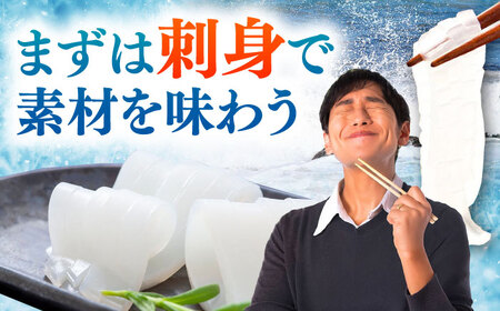【特大】 剣先 イカ （ 生 冷凍 ）2枚 《対馬市》【石川水産】刺身 塩辛 鮮度抜群 海鮮[WAB027]