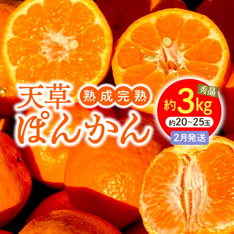 【ふるさと納税】熟成 完熟 天草 ぽんかん 2月発送 約 3kg サイズ混合 約 20玉 ～ 25玉 低しょう系ぽんかん 秀品 鮮度 濃厚 甘さたっぷり 柔らかい果肉 フルーツ おやつ 美味しい 後味が良い 予措 常温 箱 上果園 熊本県 天草市 下浦町 送料無料 〈先行受付〉