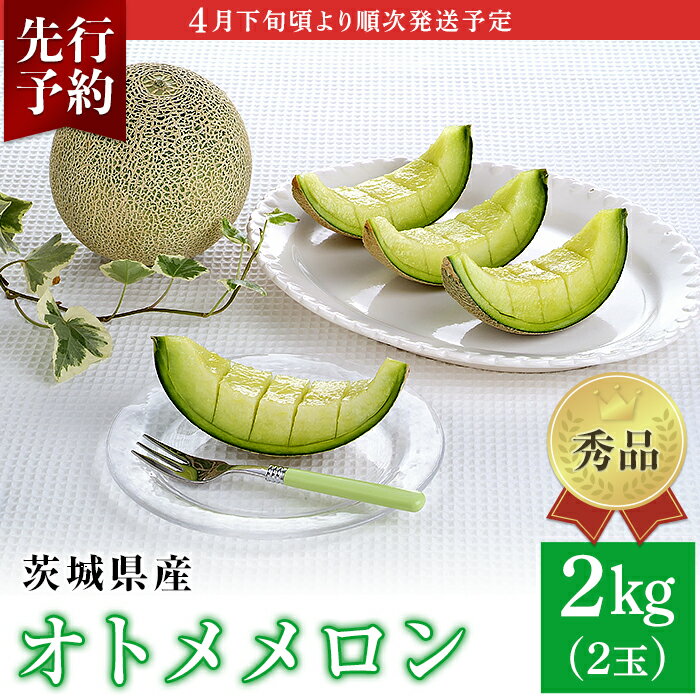 【ふるさと納税】メロン めろん 茨城 秀品 フルーツ 先行予約 007-2 オトメメロン 秀品 2玉 約2kg 茨城県 JA水戸産