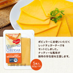 スライスチーズ　レッドチェダー　16パック×5枚（計80枚） 【チーズ 乳製品 加工食品 おつまみ セット 愛知県 長久手市】