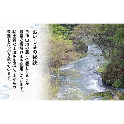 ふるさと納税 能代市 《定期便6ヵ月》【令和8年度産】新米 あきたこまち 2kg 精米[No.5409-0025] |  | 02