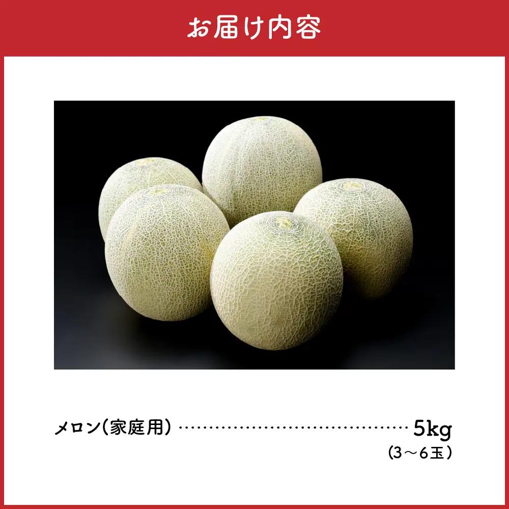 【2026年8月下旬発送】津軽産 青肉 メロン 約5kg ( 3~6玉 ) ご家庭用 品種おまかせ 【青森メロン】